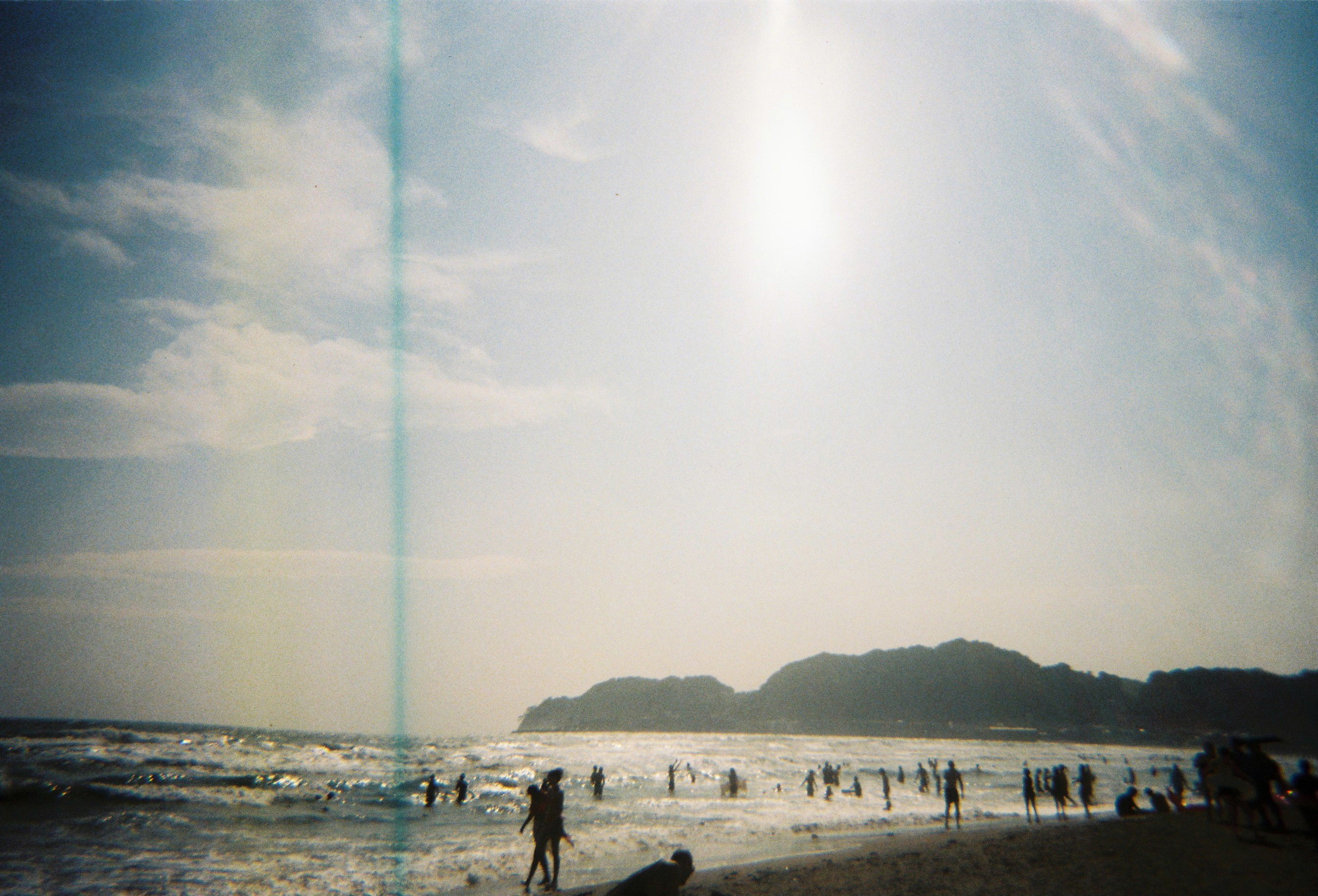 photo-chanpignon-Blancs